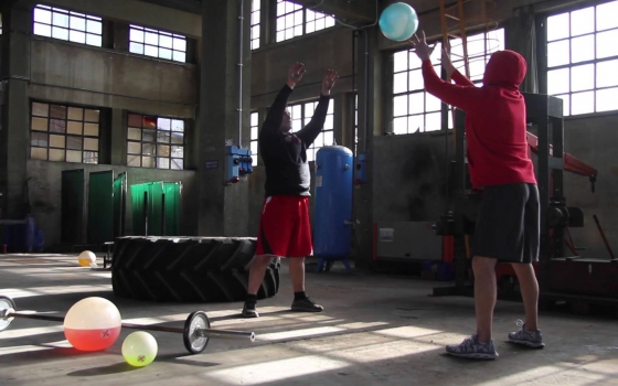 Palestra Ginnic Life - Torino (TO)